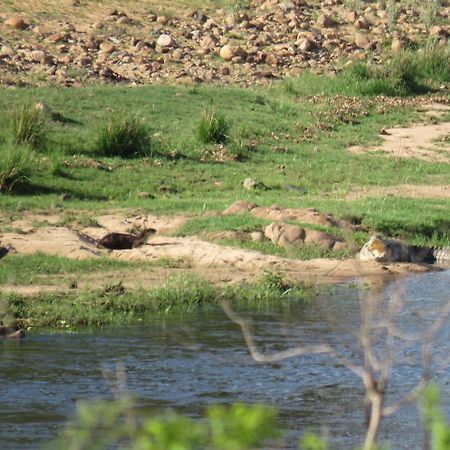 Villa Kruger View Tree House Marloth Park Esterno foto