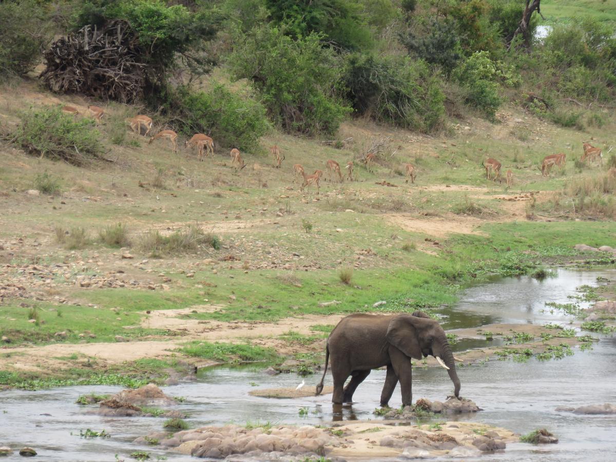 Villa Kruger View Tree House Marloth Park Esterno foto
