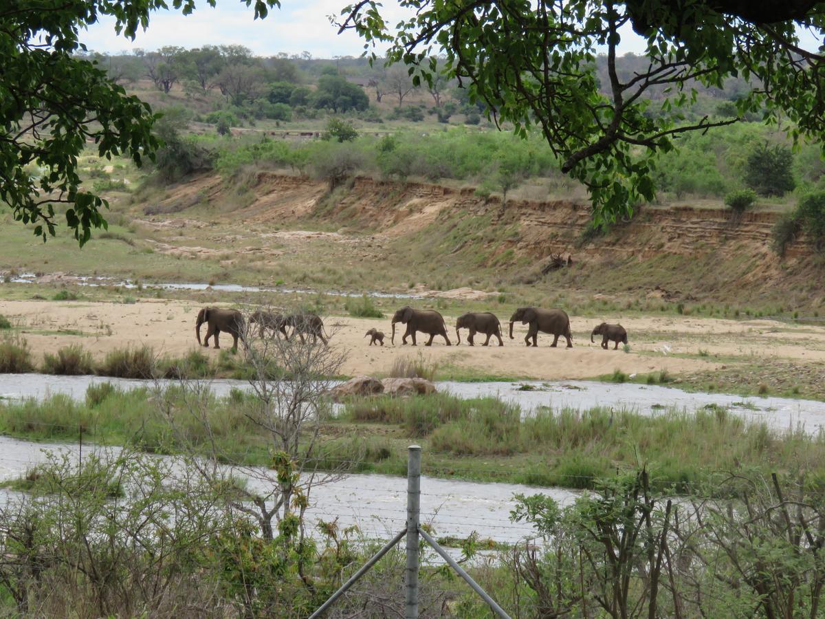 Villa Kruger View Tree House Marloth Park Esterno foto