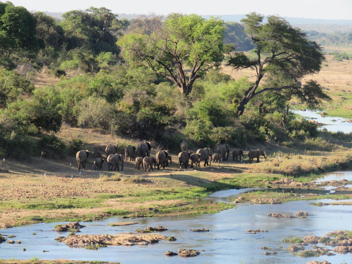 Villa Kruger View Tree House Marloth Park Esterno foto