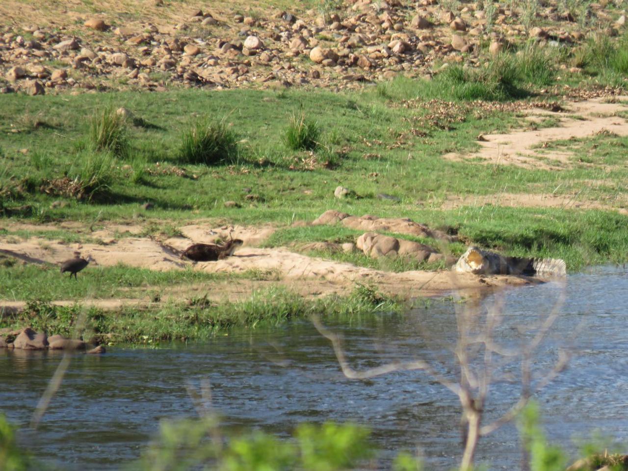 Villa Kruger View Tree House Marloth Park Esterno foto