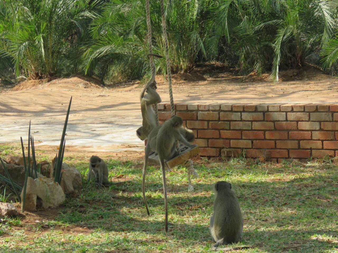 Villa Kruger View Tree House Marloth Park Esterno foto
