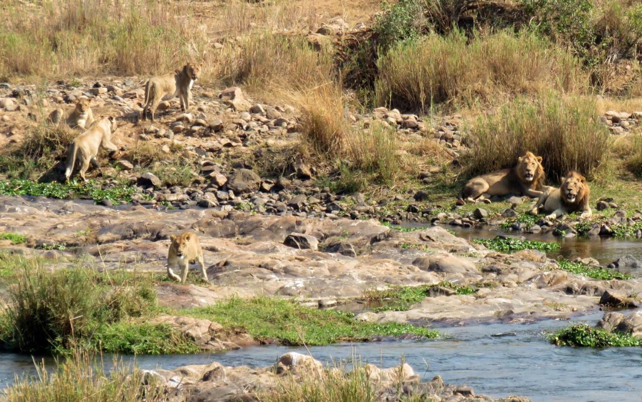 Villa Kruger View Tree House Marloth Park Esterno foto